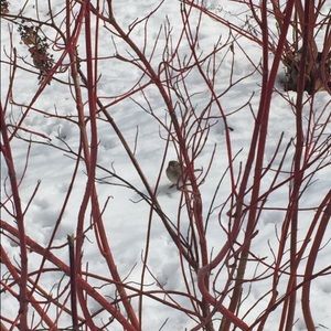 Meet your Posher, Anjolie